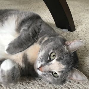 Meet your Posher, Kelly